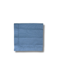 Blue Napkins