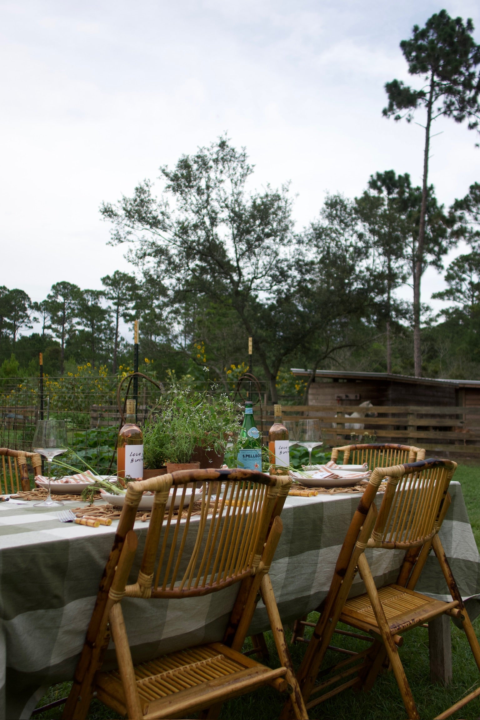 Bamboo Folding Chairs