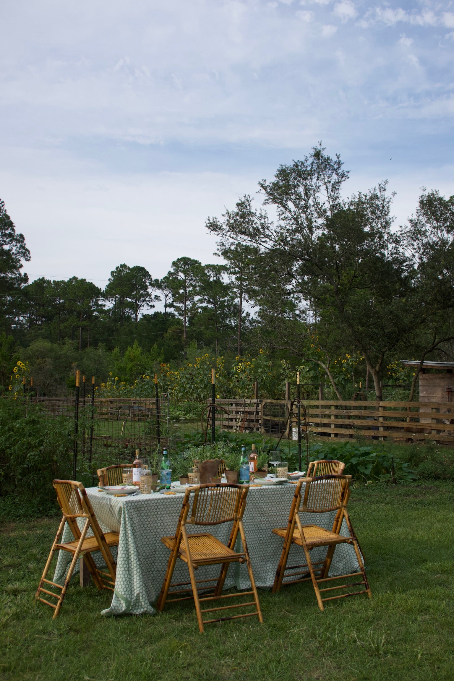 Bamboo Folding Chairs